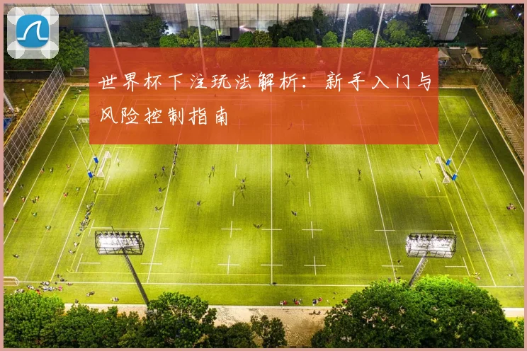 世界杯下注玩法解析：新手入门与风险控制指南