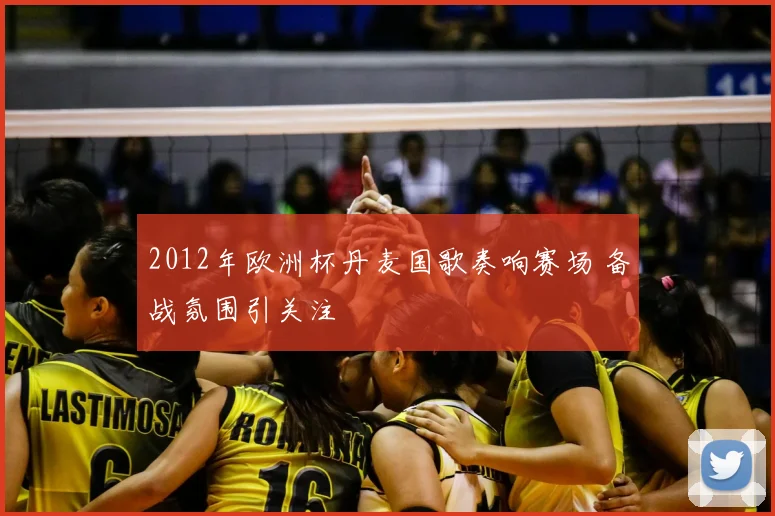 2012年欧洲杯丹麦国歌奏响赛场 备战氛围引关注