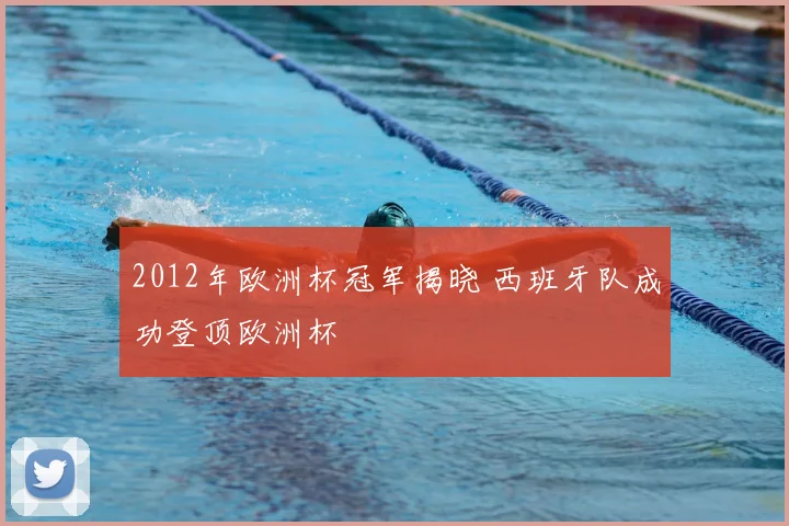 2012年欧洲杯冠军揭晓 西班牙队成功登顶欧洲杯