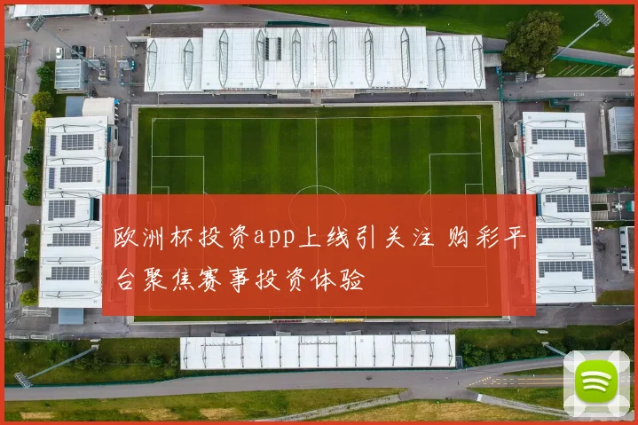 欧洲杯投资app上线引关注 购彩平台聚焦赛事投资体验