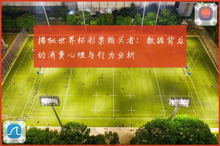 揭秘世界杯彩票购买者：数据背后的消费心理与行为分析