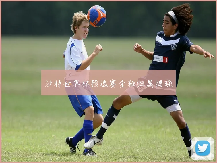 沙特世界杯预选赛金靴归属揭晓