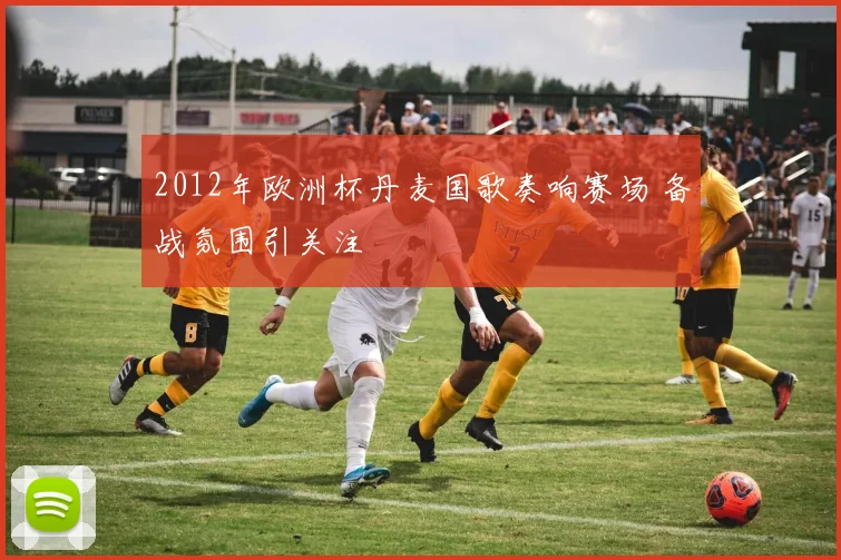 2012年欧洲杯丹麦国歌奏响赛场 备战氛围引关注