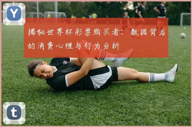 揭秘世界杯彩票购买者:数据背后的消费心理与行为分析