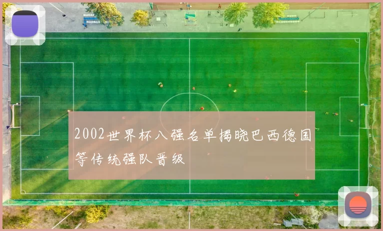 2002世界杯八强名单揭晓巴西德国等传统强队晋级