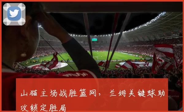 山猫主场战胜篮网，兰姆关键球助攻锁定胜局