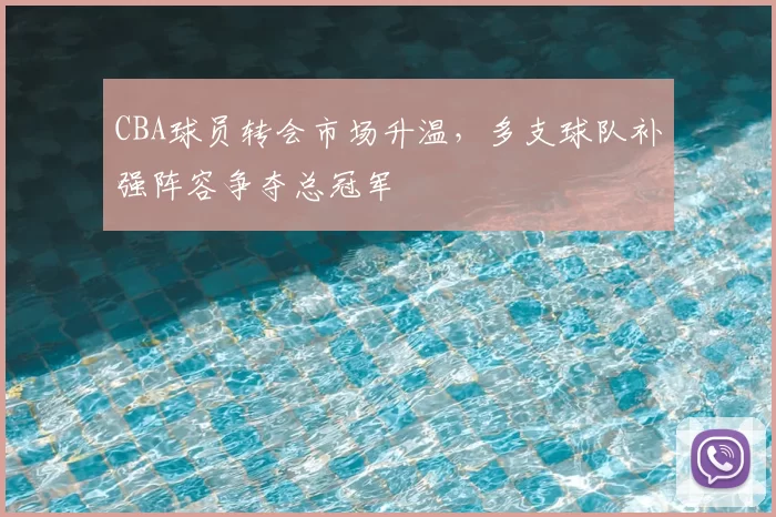 CBA球员转会市场升温，多支球队补强阵容争夺总冠军