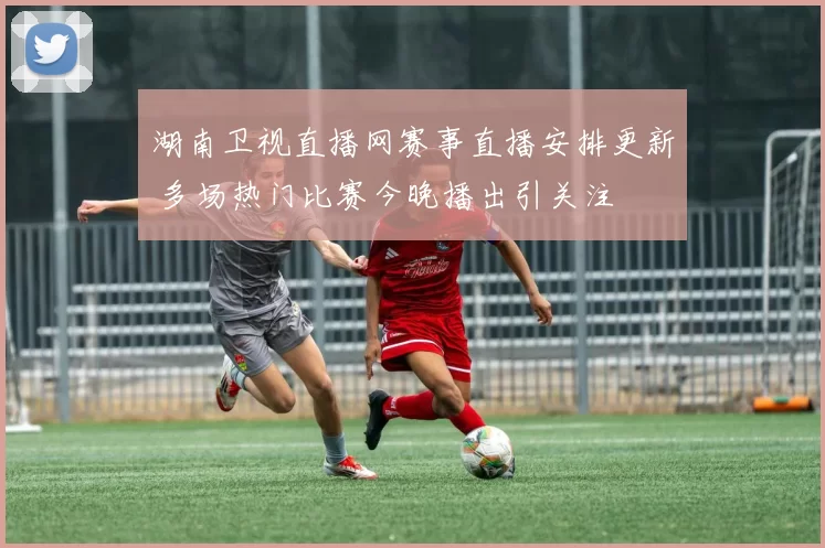 湖南卫视直播网赛事直播安排更新 多场热门比赛今晚播出引关注