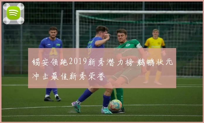 锡安领跑2019新秀潜力榜 鹈鹕状元冲击最佳新秀荣誉