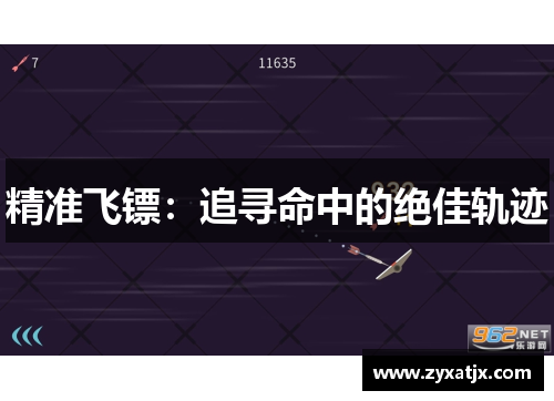 精准飞镖：追寻命中的绝佳轨迹