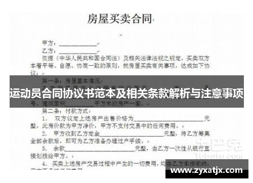 运动员合同协议书范本及相关条款解析与注意事项